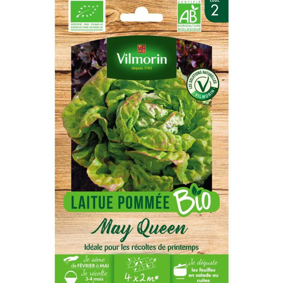 Graines de laitue may queen bio Vilmorin - graines à semer