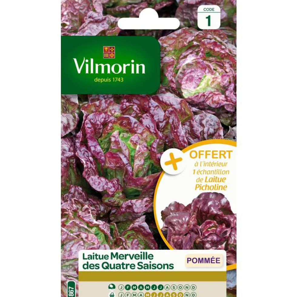 Graines de laitue merveille des quatre saisons Vilmorin - graines à semer