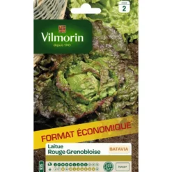 Graines de laitue rouge grenobloise Vilmorin - graines à semer