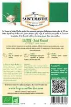Graines de Laitue Saint Vincent bio Ferme de Sainte Marthe - 500 graines à semer