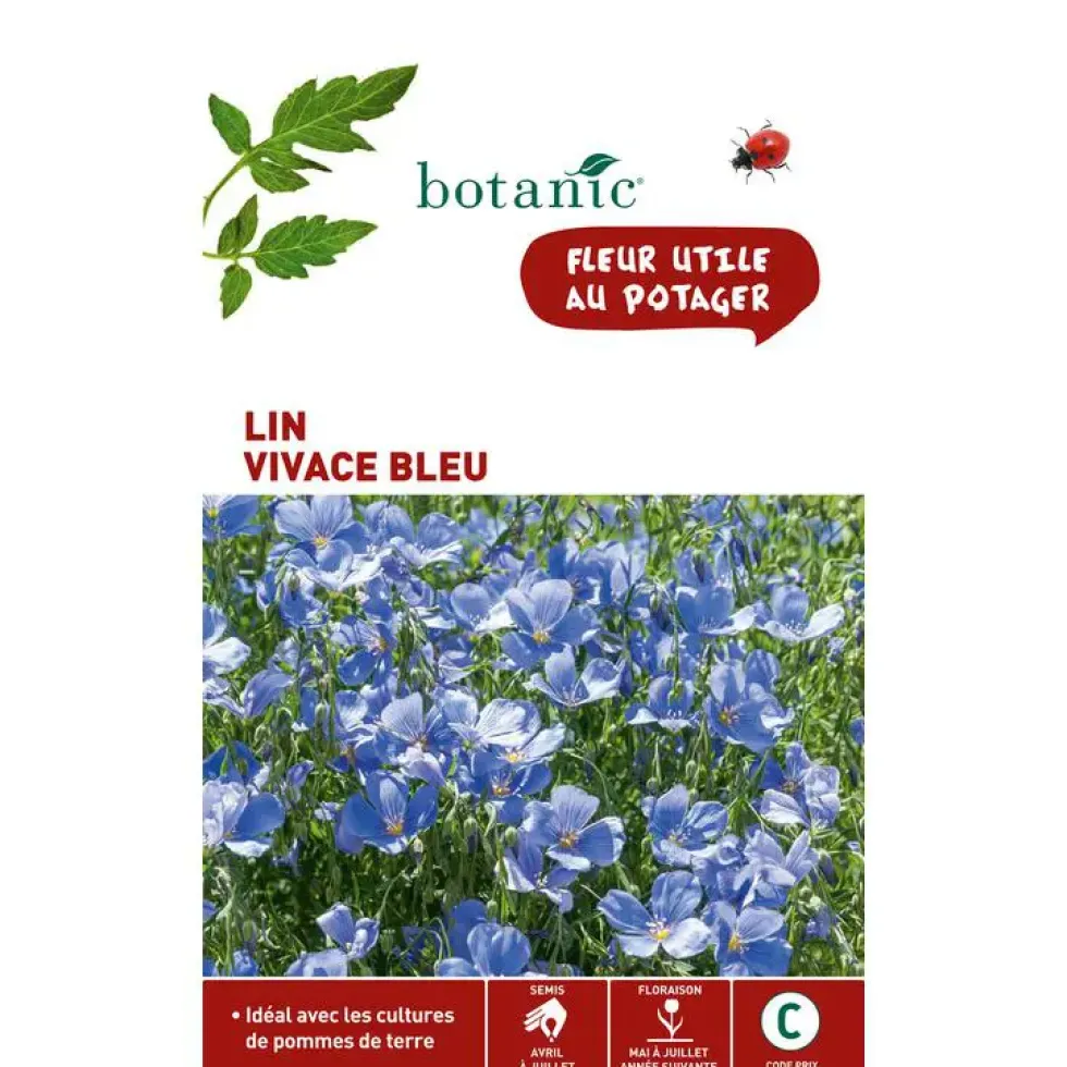 Graines de lin vivace bleu botanic® - graines à semer