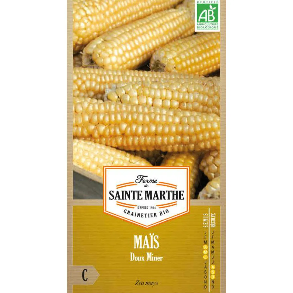 Graines de Maïs doux bio Ferme de Sainte Marthe - 50 graines à semer