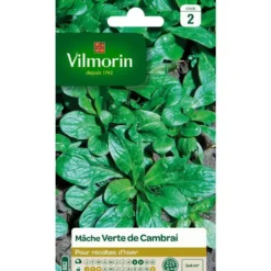 Graines de mâche verte de Cambrai Vilmorin - graines à semer