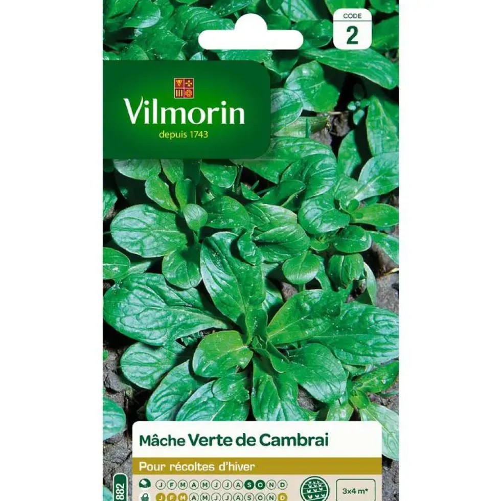 Graines de mâche verte de Cambrai Vilmorin - graines à semer