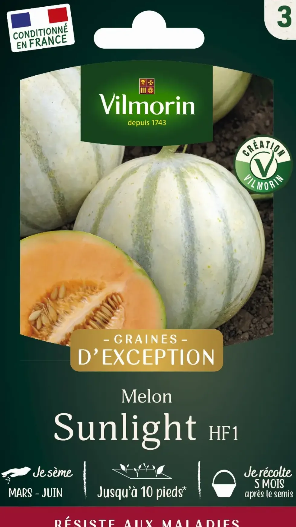 Graines de melon lisse sunlight coloris orange Vilmorin jardin jardin - graines à semer