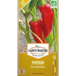 Graines de piment corno di toro rosso bio Ferme de Sainte Marthe - graines à semer