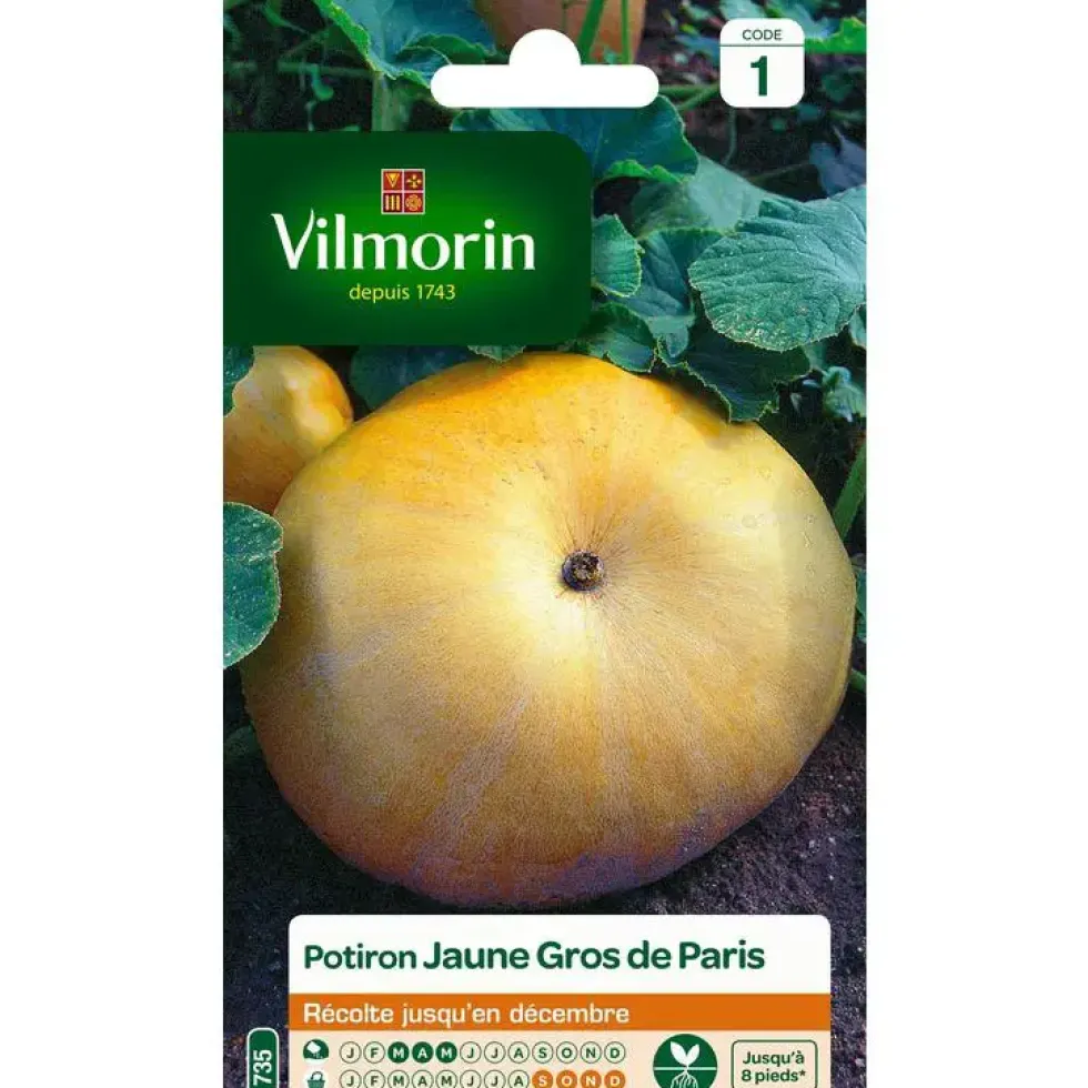 Graines de potiron jaune gros de Paris Vilmorin - graines à semer