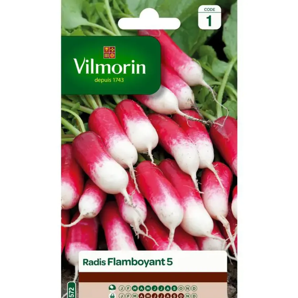 Graines de radis flamboyant Vilmorin - graines à semer