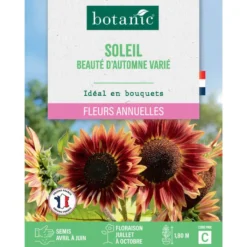 Graines de soleil beauté d'automne varié botanic® - graines à semer