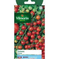 Graines de tomate cerise Vilmorin - graines à semer