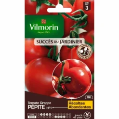 Graines de Tomate Pépite HF1 Vilmorin - graines à semer