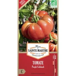 Graines de Tomate Purple Calabash bio Ferme de Sainte Marthe - graines à semer