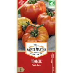 Graines de Tomate Sainte Lucie bio Ferme de Sainte Marthe - graines à semer