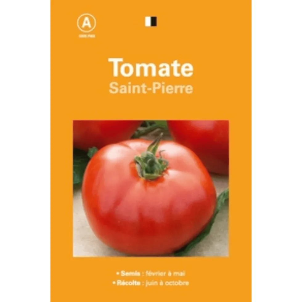 Graines de tomate Saint Pierre premier prix - graines à semer
