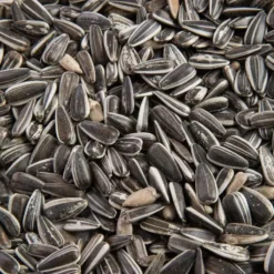 Graines de tournesol striées pour oiseaux Grain de Vie - 12 kg