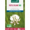 Graines de Trèfle blanc bio botanic® - graines à semer (30 m²)