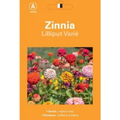 Graines de Zinnia Lilliput varié - graines à semer