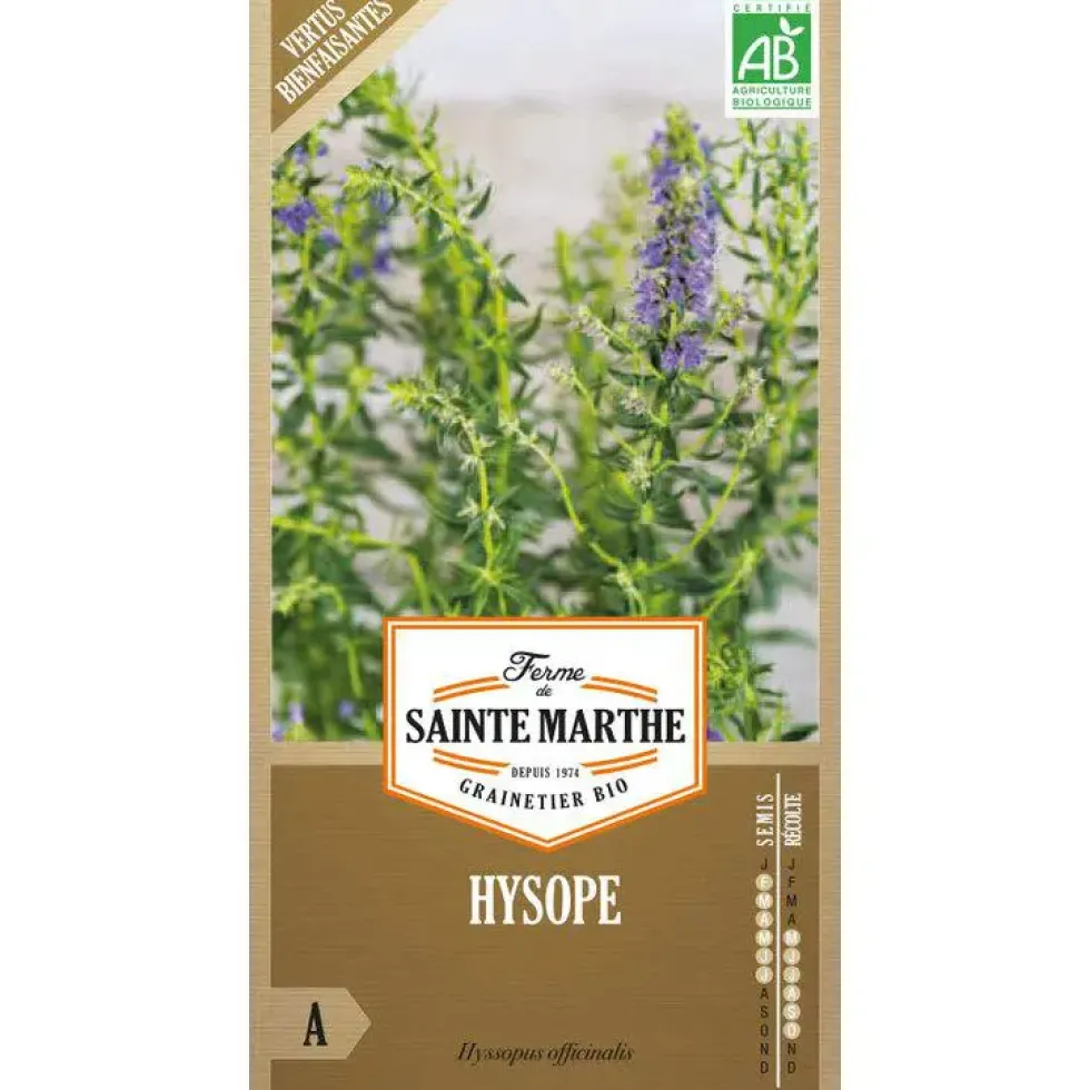 Graines d'hysope bio Ferme de Sainte Marthe - graines à semer