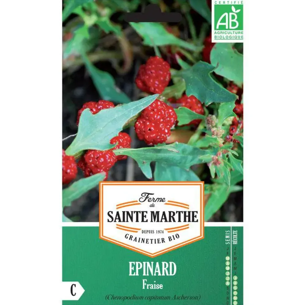 Graines d'épinard fraise bio Ferme de Sainte Marthe - graines à semer