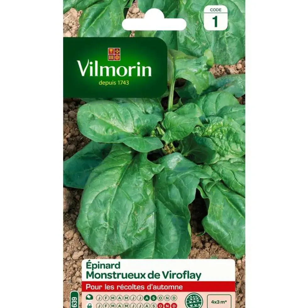 Graines d'épinard monstrueux de Viroflay Vilmorin - graines à semer