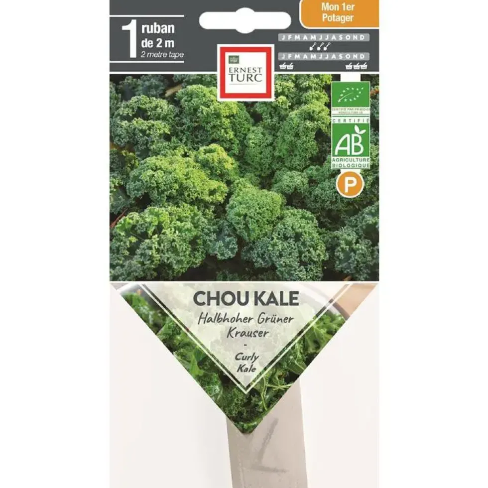 Graines présemées de Chou kale Halbhoher grüner krauser bio Ernest turc - 1 ruban de 2 m