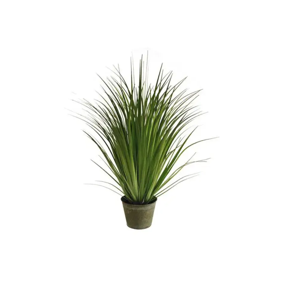 Graminée pot zinc 110 cm