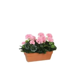 Géranium rose plante artificielle en jardinière Terra 39x13x40 cm