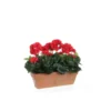 Géranium rouge plante artificielle en jardinière Terra 39x13x40 cm