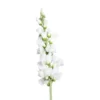 Gueule de loup artificielle blanche - 81 cm