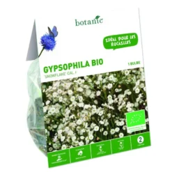 Gypsophile Paniculata Snowflake bio blanc botanic® - 1 bulbe