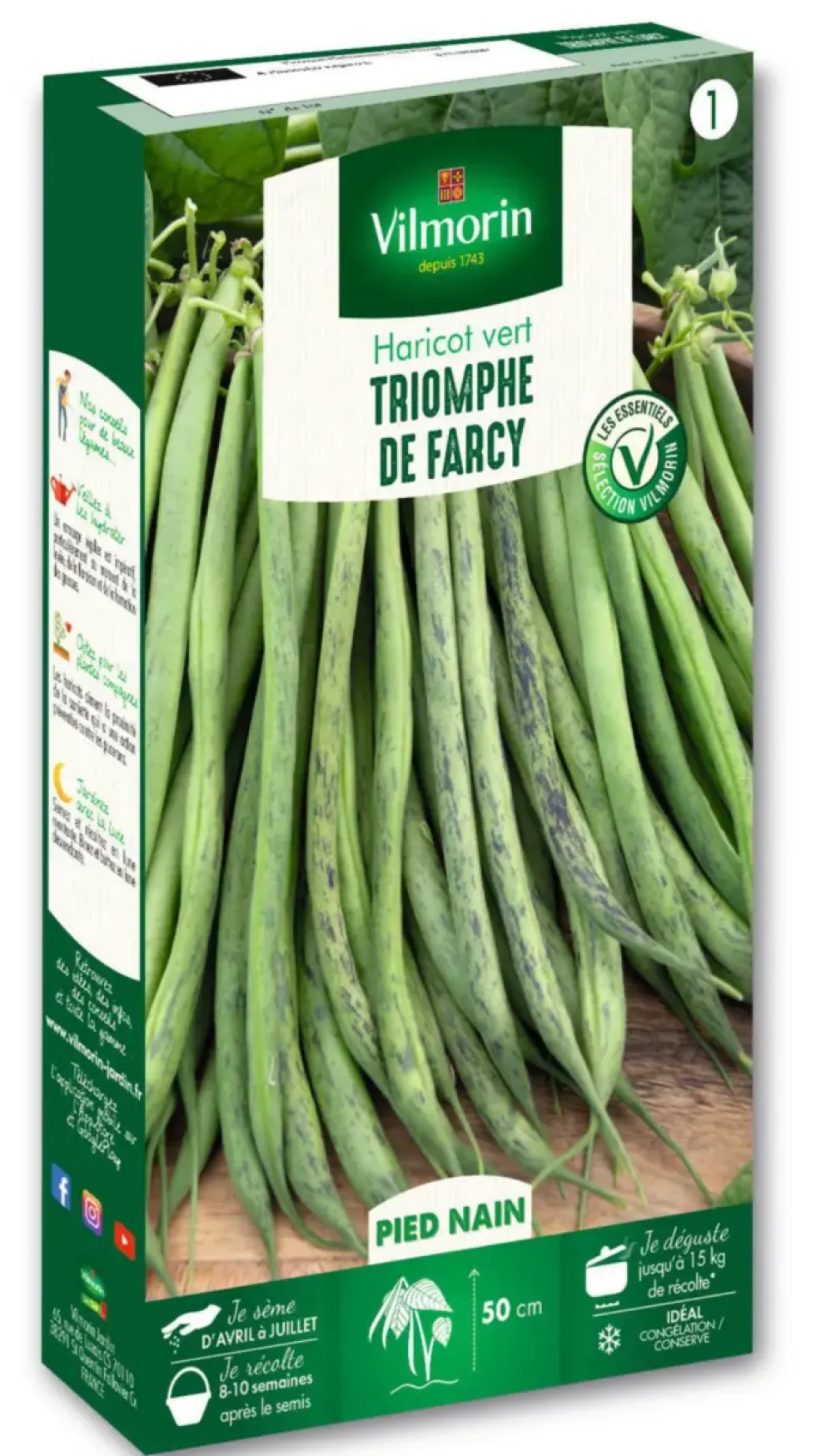 Haricot nain à filet Triomphe de Farcy Vilmorin - graines à semer
