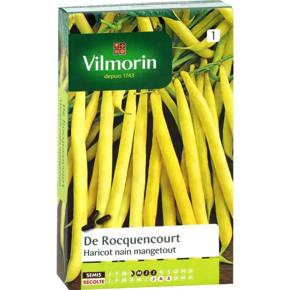 Haricot nain mangetout de Rocquencourt Vilmorin - graines à semer