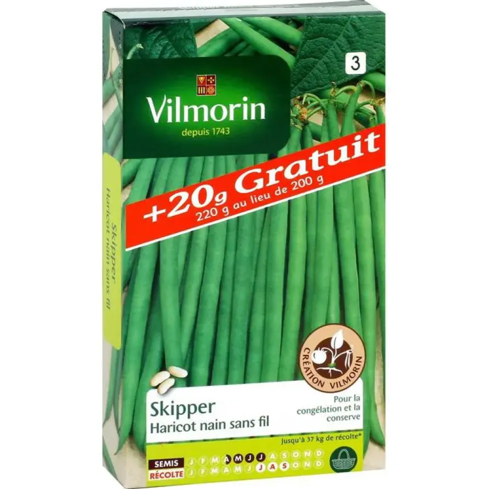 Haricot nain sans fil Skipper Vilmorin - graines à semer