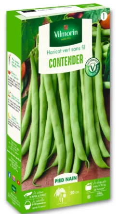 Haricot Vert Contender Vilmorin - graines à semer