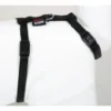 Harnais chat nylon noir 1-35/50 cm