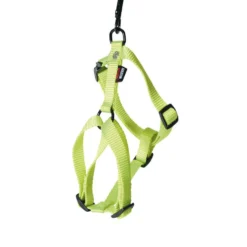 Harnais Confort vert citron pour chien - 2,5x70/90 cm