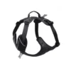Harnais Momentum Taille 2 Circonférence cage thoracique 42-55cm Noir