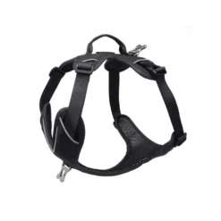 Harnais Momentum Taille 3 Circonférence cage thoracique 53-67cm Noir