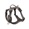 Harnais pour chien coloris gris anthracite Kyflie Momentum Urban - Taille 1