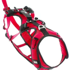 Harnais pour chien coloris rouge I-Dog Confort Trek - Taille S