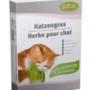 Herbe à chat Bubimex