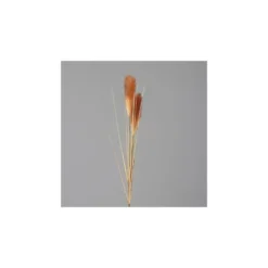 Herbe de la pampa crème/brun artificielle - 107 cm