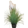 Herbe de la pampa pot zinc 180cm
