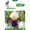Iris Germanica Hadlines violet et blanc botanic® - 1 bulbe