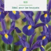 Iris hollande coloris bleu botanic® - 15 bulbes