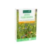 Jachère de graines fleurs sauvages botanic® - graines à semer (100 m²)