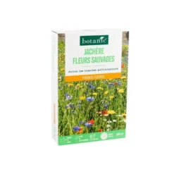 Jachère de graines fleurs sauvages botanic® - graines à semer (100 m²)