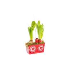 Jacinthe X2 Mini Jardi Zinc Flocon rouge