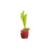 Jacinthe X1 Pot Ceramique rouge