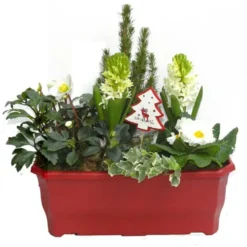 Jardinière de Noël 40 cm - La jardinière de 40 cm